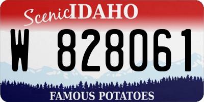 ID license plate W828061