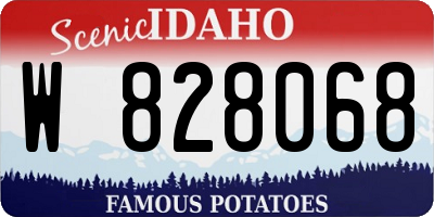 ID license plate W828068