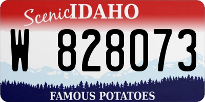 ID license plate W828073