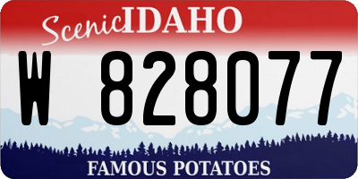 ID license plate W828077