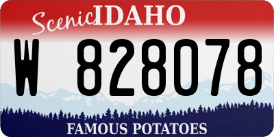 ID license plate W828078