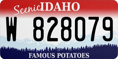 ID license plate W828079