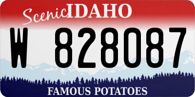ID license plate W828087