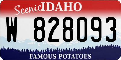 ID license plate W828093