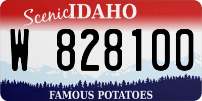 ID license plate W828100