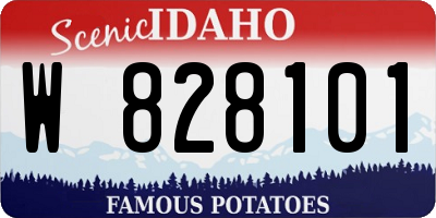 ID license plate W828101