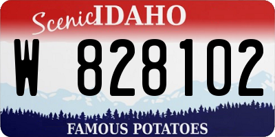 ID license plate W828102