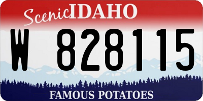 ID license plate W828115