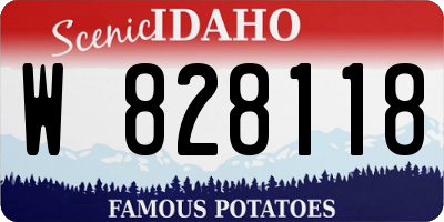 ID license plate W828118