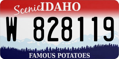 ID license plate W828119