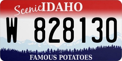 ID license plate W828130