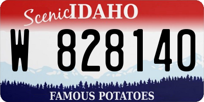 ID license plate W828140