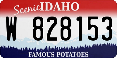 ID license plate W828153