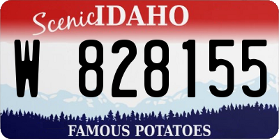 ID license plate W828155