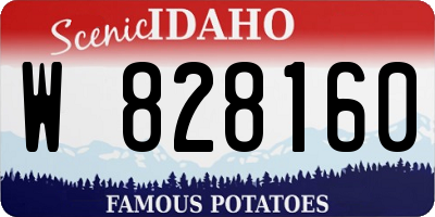 ID license plate W828160