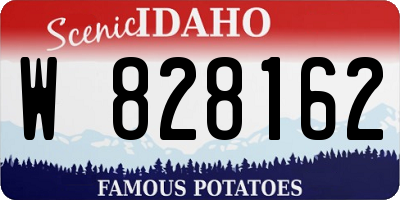 ID license plate W828162