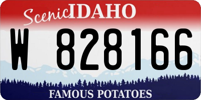 ID license plate W828166