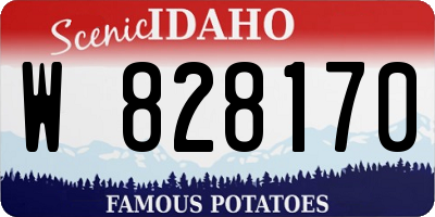 ID license plate W828170
