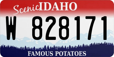 ID license plate W828171