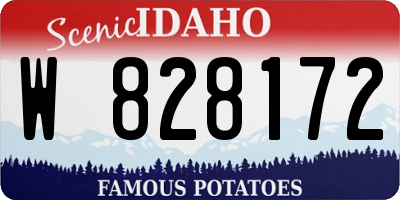 ID license plate W828172