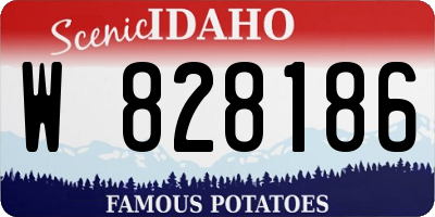 ID license plate W828186