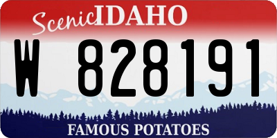 ID license plate W828191