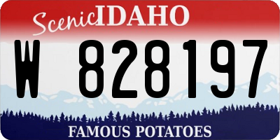 ID license plate W828197