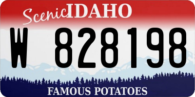 ID license plate W828198