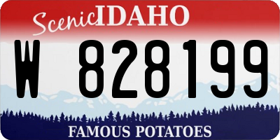ID license plate W828199