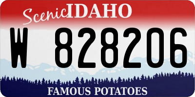 ID license plate W828206