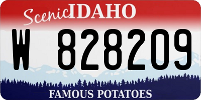 ID license plate W828209