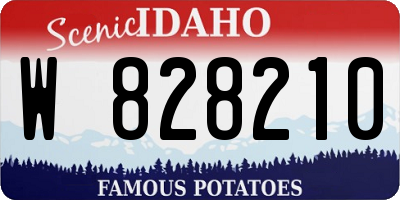 ID license plate W828210