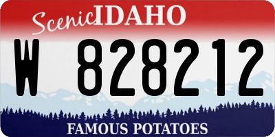 ID license plate W828212