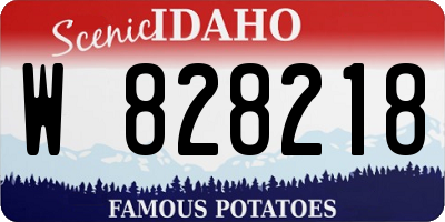 ID license plate W828218