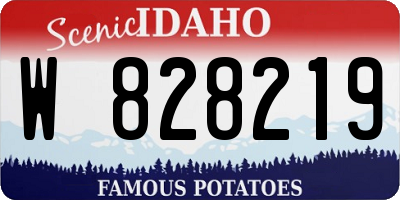 ID license plate W828219