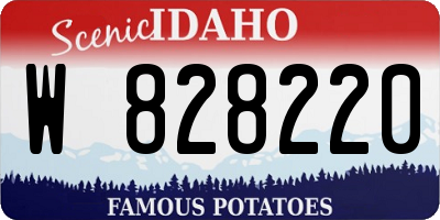 ID license plate W828220