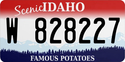 ID license plate W828227