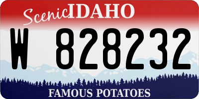 ID license plate W828232
