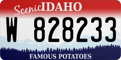 ID license plate W828233
