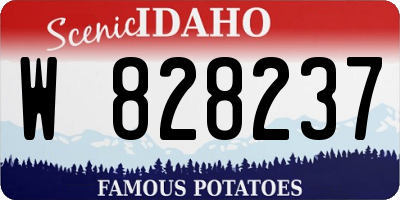 ID license plate W828237