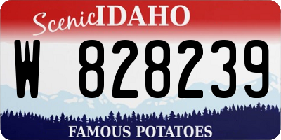 ID license plate W828239