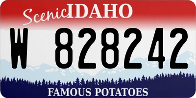 ID license plate W828242