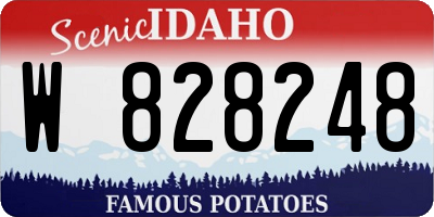 ID license plate W828248