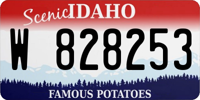 ID license plate W828253