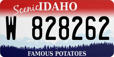 ID license plate W828262
