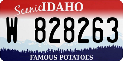ID license plate W828263