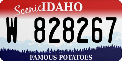 ID license plate W828267