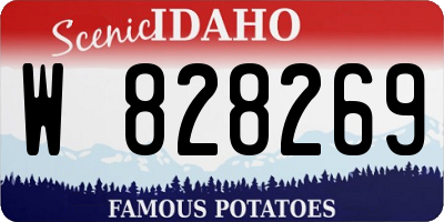 ID license plate W828269