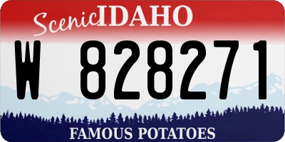 ID license plate W828271