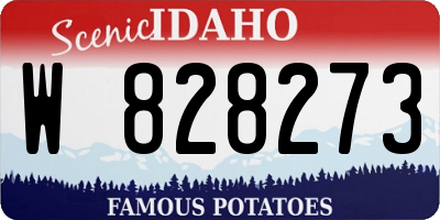 ID license plate W828273